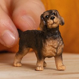 Figurka Jamnik Szorstkowłosy Schleich