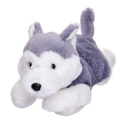 Maskotka Pies Husky leżący 35 cm Beppe