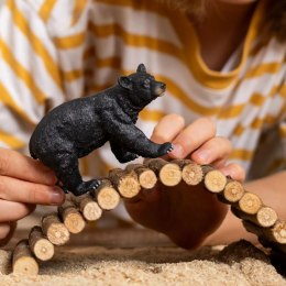 Figurka Niedźwiedź Czarny Wild Life Schleich