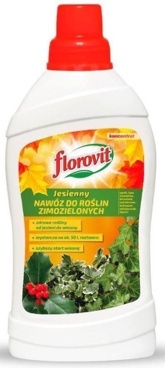 Nawóz Jesienny do Roślin Zimozielonych 1L Florovit Florovit