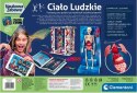 Ciało ludzkie montaż szkieletu i narządów Clementoni CLEMENTONI