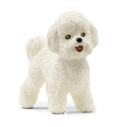 Figurka Pies Bichon Frise Farm World Schleich