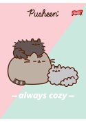 Zeszyt w trzy linie A5 32 kartkowy Kotek Pusheen The Cat ST.MAJEWSKI