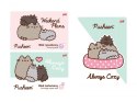 Teczka z Gumką Pusheen The Cat Kotek blok techniczny rysunko DERFORM