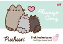 Teczka z Gumką Pusheen The Cat Kotek blok techniczny rysunko DERFORM