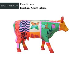 CowParade, Durban, South Africow, autor: Keegan Crawford HANIPOL