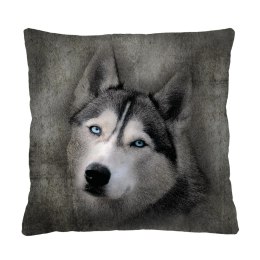 Poduszka - HUSKY 40x40 cm Bertoni