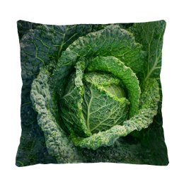 Poduszka - CABBAGE 40x40 cm Bertoni