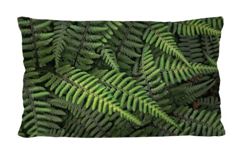 Poduszka - FERNS - 30x50 cm Bertoni