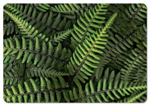 Podkładka - FERNS - 29 cm x 42 cm Bertoni