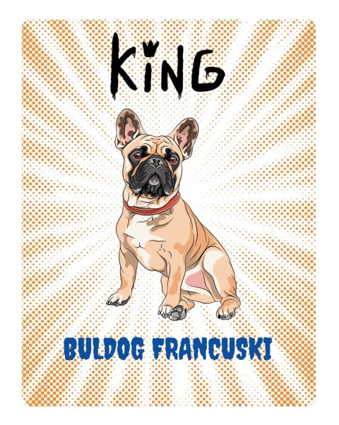 TABLICZKA KING BULLDOG FRANCUSKI - 20x28 cm ARCO DESIGN