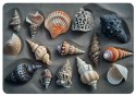 Podkładka na biurko Shells 50x70 cm Bertoni