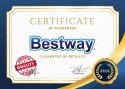 Basen stelażowy z pompą 366x76cm BESTWAY BESTWAY