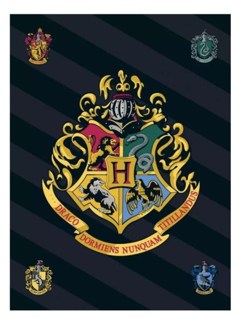 Koc polarowy 100x140 Harry Potter Jerry Fabrics