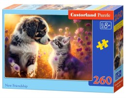 Puzzle 260 elementów Kotek, piesek nowa przyjaźń Castor